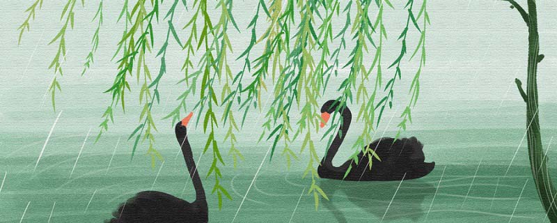 五九六九沿河看柳是什么意思 五九六九河边看柳是指