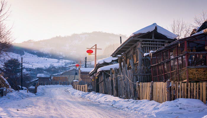 雪村冬 (1).jpg