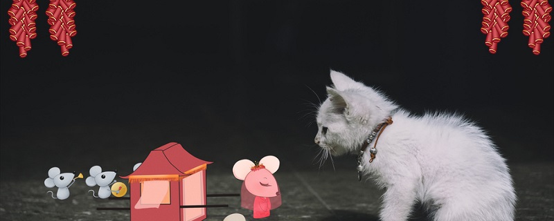 猫和老鼠 (4).jpg 猫和老鼠 (4).jpg