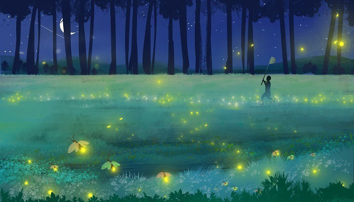 夏夜夜晚 (5).jpg 夏夜夜晚 (5).jpg