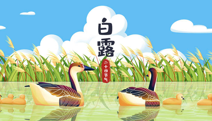 白露(1)_副本.jpg