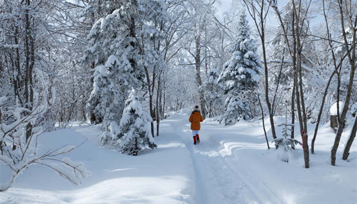 大雪纷飞(1)_副本.jpg