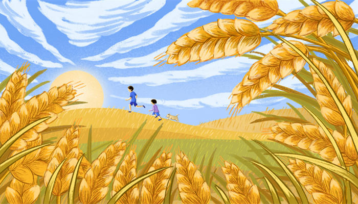 摄图网_401596946_banner_丰收 麦子 秋天(企业商用)_副本.jpg 摄图网_401596946_banner_丰收 麦子 秋天(企业商用)_副本.jpg