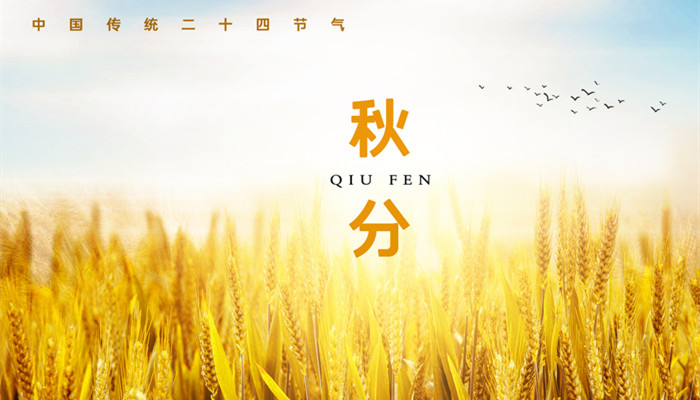 摄图网_402004772_banner_麦田秋分(企业商用)_副本.jpg 摄图网_402004772_banner_麦田秋分(企业商用)_副本.jpg