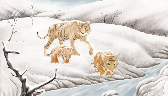 摄图网_402022880_banner_小老虎与妈妈找水喝(企业商用)_副本.jpg 摄图网_402022880_banner_小老虎与妈妈找水喝(企业商用)_副本.jpg