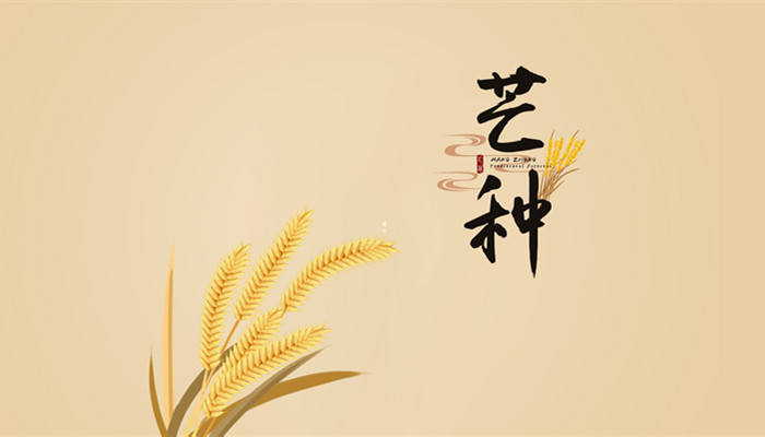 摄图网_500405047_banner_芒种（企业商用）_副本.jpg