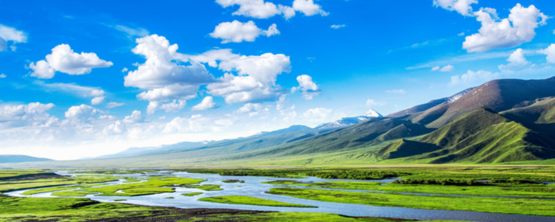 摄图网_501325516_banner_美丽草原的夏季风景（企业商）_副本.jpg