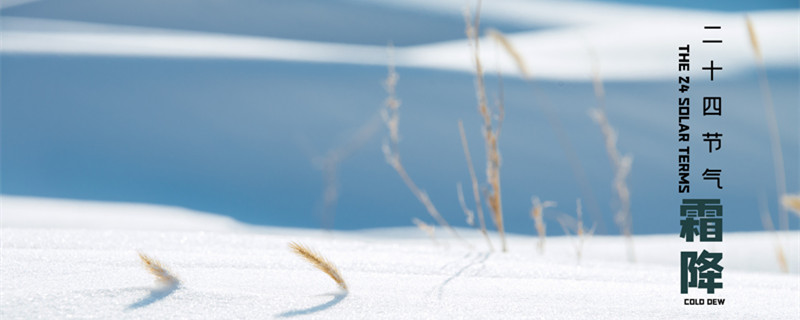 摄图网_400065007_banner_霜降海报（企业商用）_副本.jpg