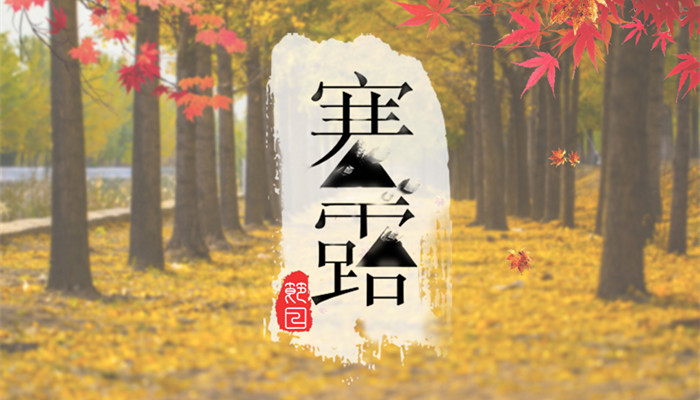 摄图网_500640376_banner_寒露(企业商用)_副本.jpg 摄图网_500640376_banner_寒露(企业商用)_副本.jpg