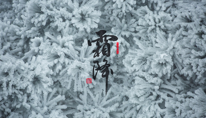 摄图网_400067331_banner_霜降(企业商用)_副本.jpg 摄图网_400067331_banner_霜降(企业商用)_副本.jpg
