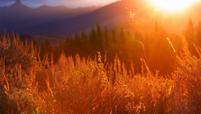 摄图网_300041206_banner_阳光明媚的秋天草地自然背景（企业商用）_副本.jpg