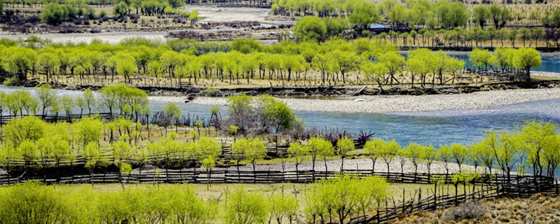 摄图网_501601810_banner_西藏林芝国家湿地公园（企业商用1）_副本.jpg