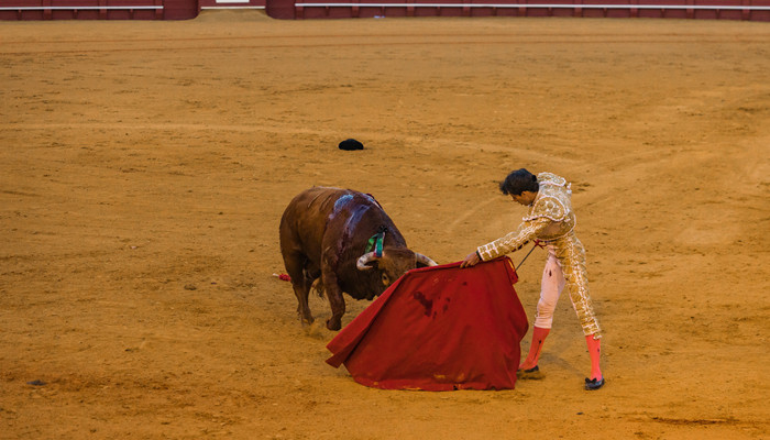 摄图网_501392672_banner_西班牙斗牛士（企业商用）_副本.jpg