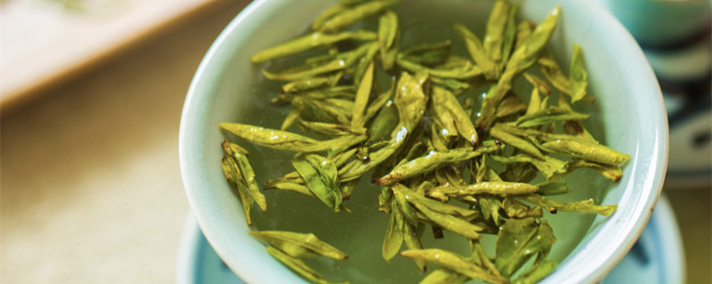 摄图网_500214860_banner_龙井茶鲜叶(企业商用)_副本.jpg 摄图网_500214860_banner_龙井茶鲜叶(企业商用)_副本.jpg
