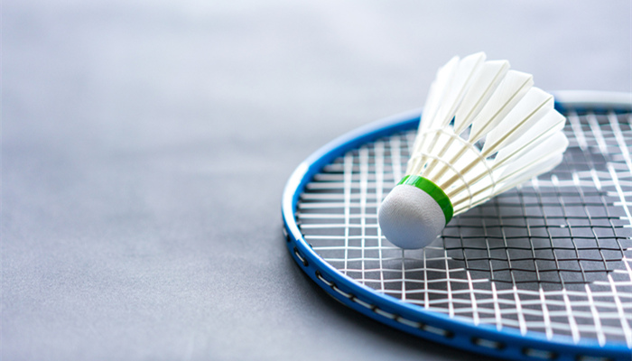 摄图网_500292751_banner_羽毛球静物拍摄（企业商用）_副本.jpg
