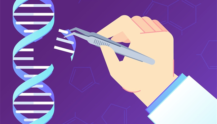 摄图网_302565262_基因编辑人类遗传工程矢量图（企业商用）_副本.jpg