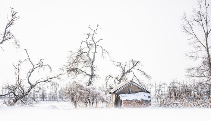 摄图网_501699434_banner_雪地房屋（企业商用）_副本.jpg