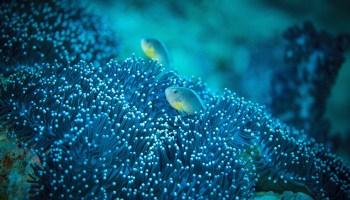 海23.jpg