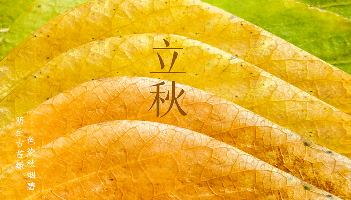 摄图网_401945933_banner_立秋（企业商用）_副本.jpg