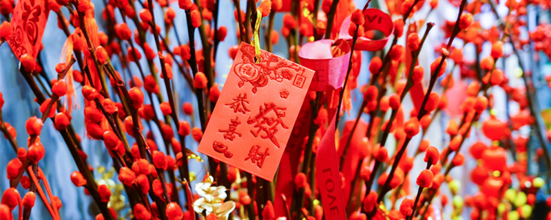 摄图网_501718089_banner_银柳上的红包(企业商用)_副本.jpg 摄图网_501718089_banner_银柳上的红包(企业商用)_副本.jpg