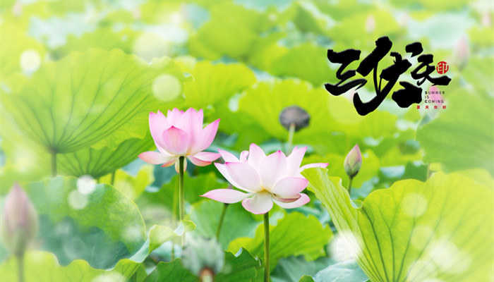 摄图网_500483125_banner_夏日三伏天（企业商用）_副本.jpg