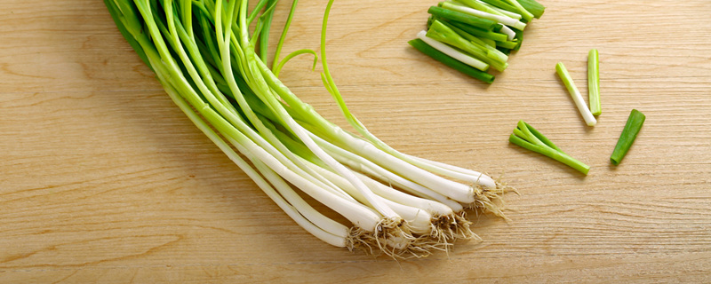 摄图网_500499221_banner_小葱（企业商用1）_副本.jpg