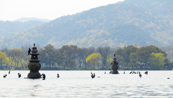 _三潭映月 杭州 西湖 _700.jpg _三潭映月 杭州 西湖 _700.jpg