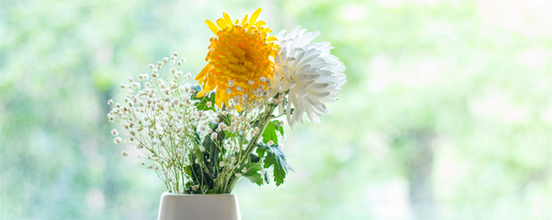 摄图网_501582945_banner_清明节菊花插花静物（企业商用1）_副本.jpg