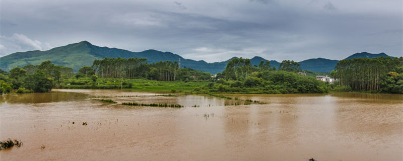 暴雨 洪水800.jpg