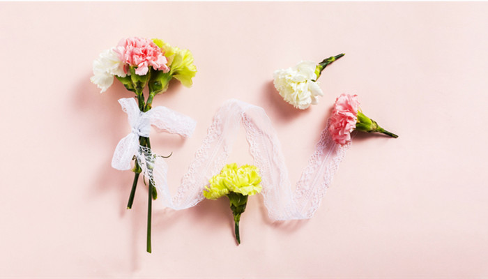 700康乃馨  花.jpg