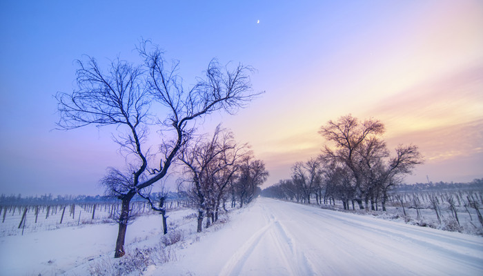 摄图网_500418252_banner_冬季枯树雪晚霞(企业商用)_副本.jpg 摄图网_500418252_banner_冬季枯树雪晚霞(企业商用)_副本.jpg