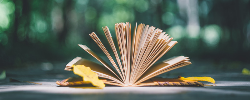 摄图网_500465305_banner_叶子与日记本(企业商用)_副本.jpg 摄图网_500465305_banner_叶子与日记本(企业商用)_副本.jpg