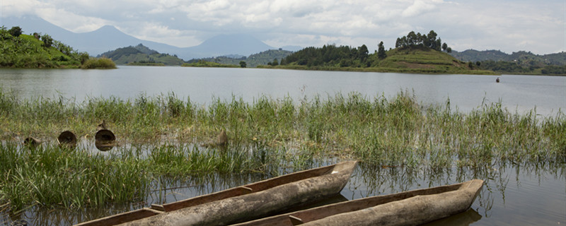 非洲11.jpg 非洲11.jpg