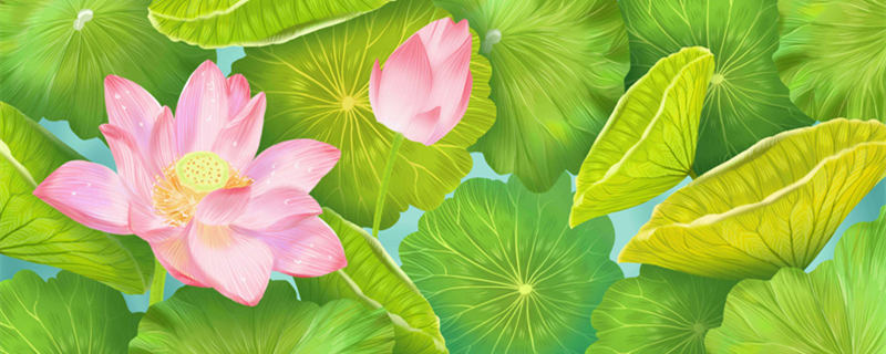 1049_banner_荷花背景.jpg