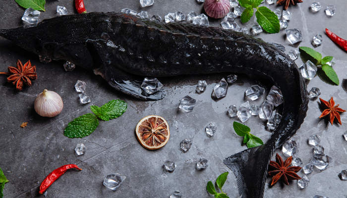 黑鱼 财鱼_700.jpg