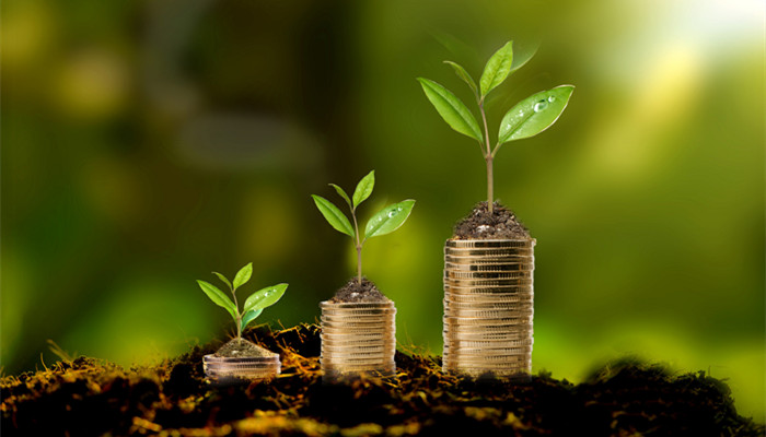 货币基金是什么