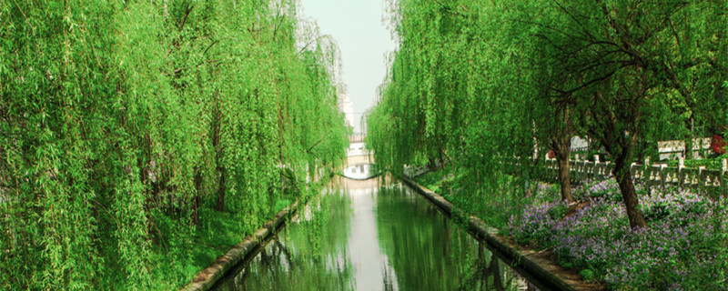 春光滿面永安康,春雨潤物收入漲,春風得意蒸蒸上,春雷陣陣名遠揚